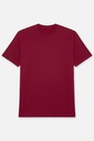 Men's T Shirt (PKTBH-7|RLX)