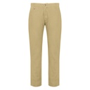Men's Chino (CTS-62|ZRA/SLM)