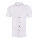 Men's Pure Linen Bushirt (LIN-1020|CS4/HSP)