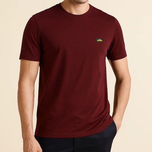 Men's Cotton Polyester Elastane T Shirt (CBJSH-4|SLM)       