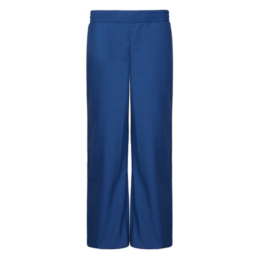Women's Wool Rich Blend Trousers (STR-49|1752)        